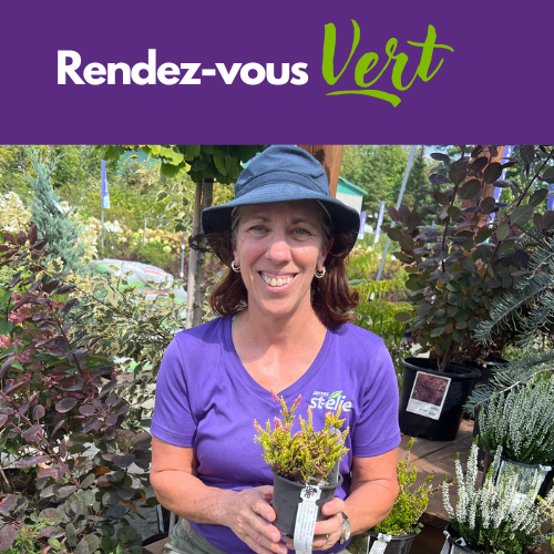 Rendez-vous vert