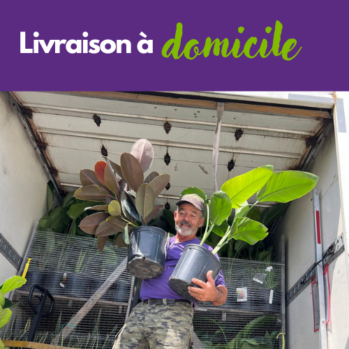 Livraison à domicile