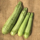 Semences courgette Genovese biologique