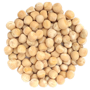 Graine à germer : Pois jaune (500 g)