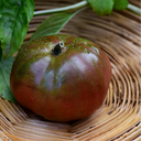 [TOMABRANROSE4.5] Tomate Brandywine