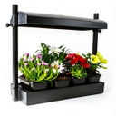 Jardins lumineux SunBlaster (Noir)