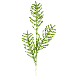 [XS759493] Branche décorative : Tige de sapin scintillante