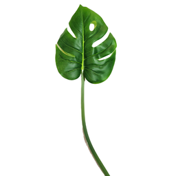 [S3828700] Branche décorative: Feuille de Monstera