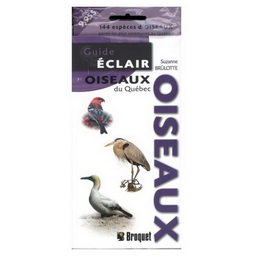 [8915] Livre: Guide éclair - Oiseaux du Québec