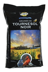 Graines de tournesol noir