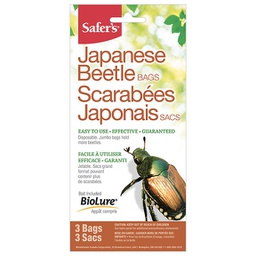 Appat à scarabées japonais