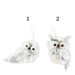 [MS117938] Ornement: Chouette ou hibou