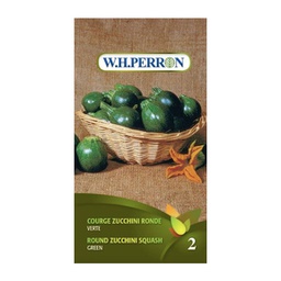 [69-4542-502] Semences courge zucchini ronde verte