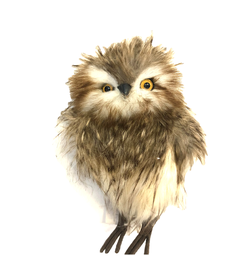 [TT8141] Ornement: Hibou poilu brun