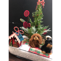 Confection: Noël pour chien