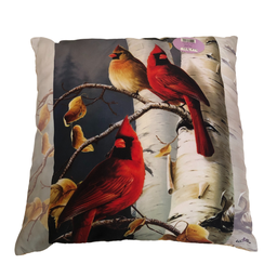 [4511] Coussin cardinaux