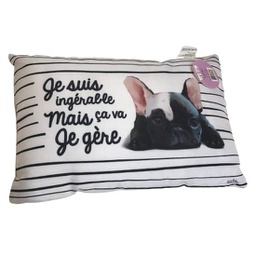 [6058] Coussin je suis ingèrable