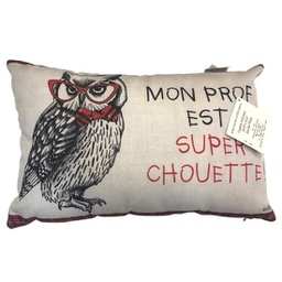 [3883] Coussin "mon prof est super chouette"