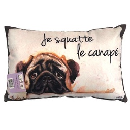 [4560] Coussin "je squatte la canapé"