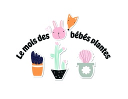 [BBBOITELUM] Plantes peu de luminosité (BB boîte)