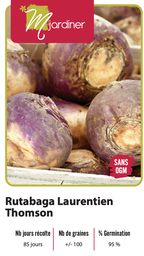 [Rutabaga Laurentien Thomson] Semences rutabaga Laurentien Thomson