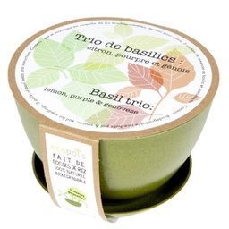 [TRIO-BAS] Trio de basilic :citron, pourpre, génois