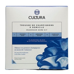 Trousse d'initiation à la culture de champignon : Pleurotes bleu